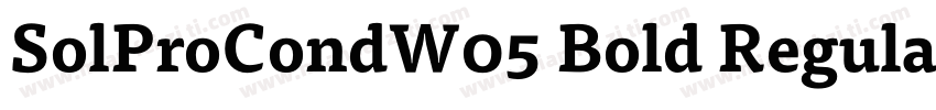 SolProCondW05 Bold Regular字体转换